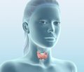 Diseases of the digestive system organs in the structure of somatic pathology in adolescents with nontoxic diffuse goiter
