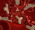 Антитела в инфекционных и эпидемических процессах
